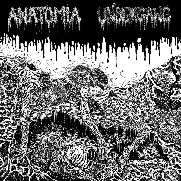 ANATOMIA / UNDERGANG Split CD (US)