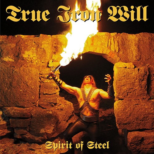 TRUE IRON WILL “Spirit of Steel” US - LP
